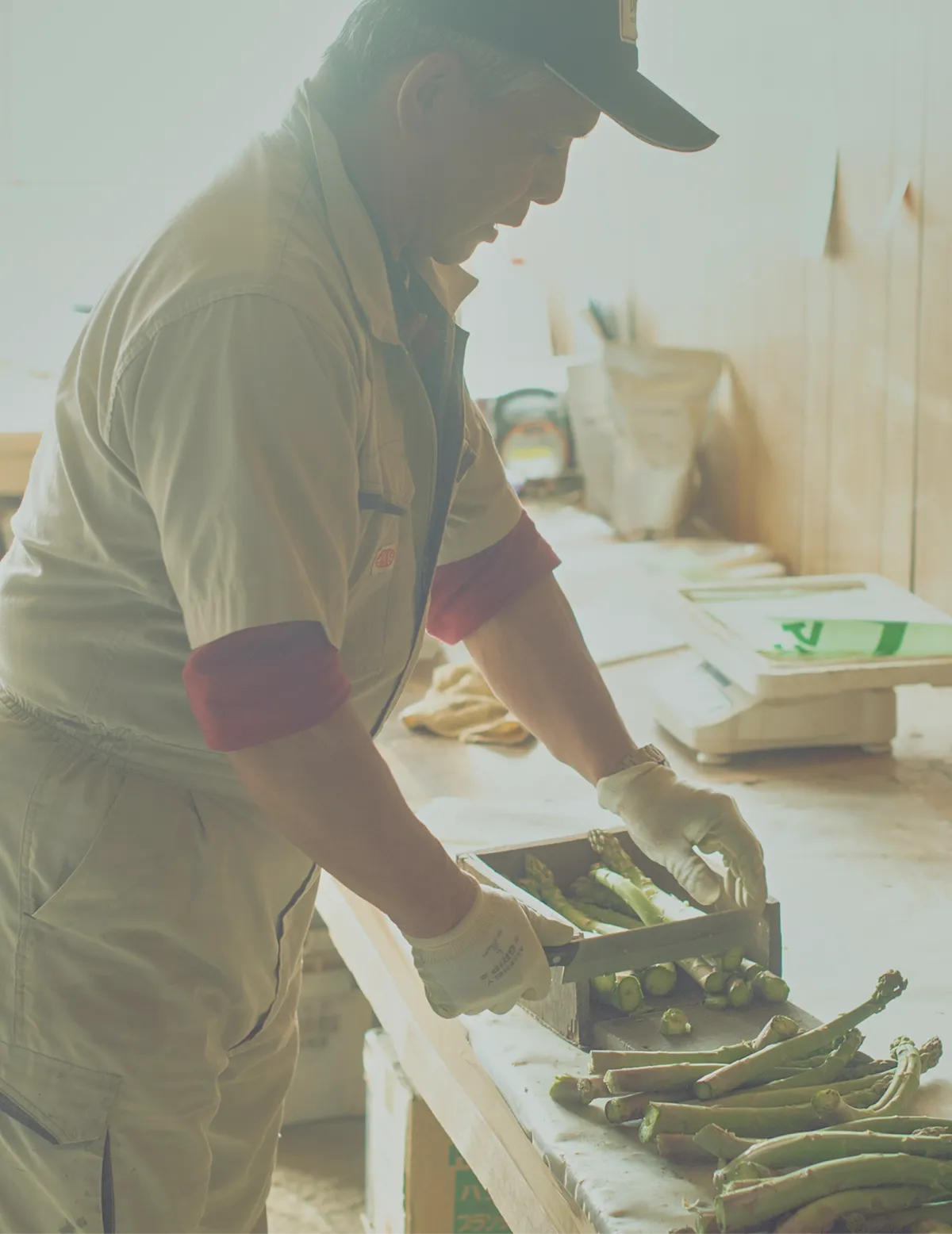 農業・酪農の「今」と「未来」を伝える