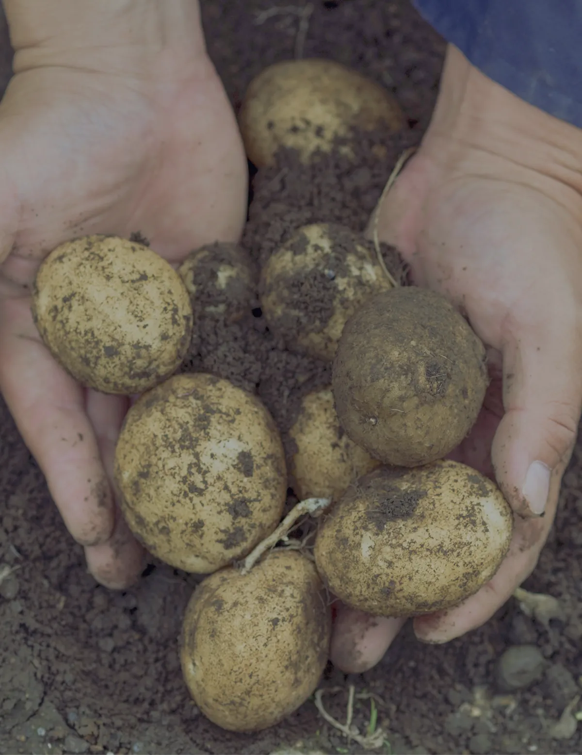 農政や需給などの最新情報を伝える