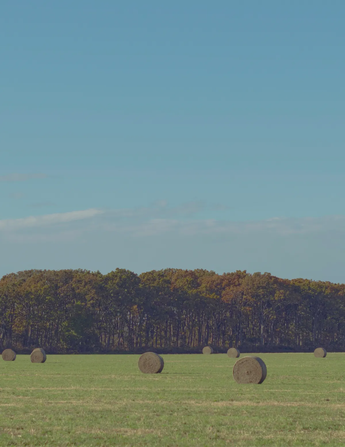 思いを整理し、伝わる形に