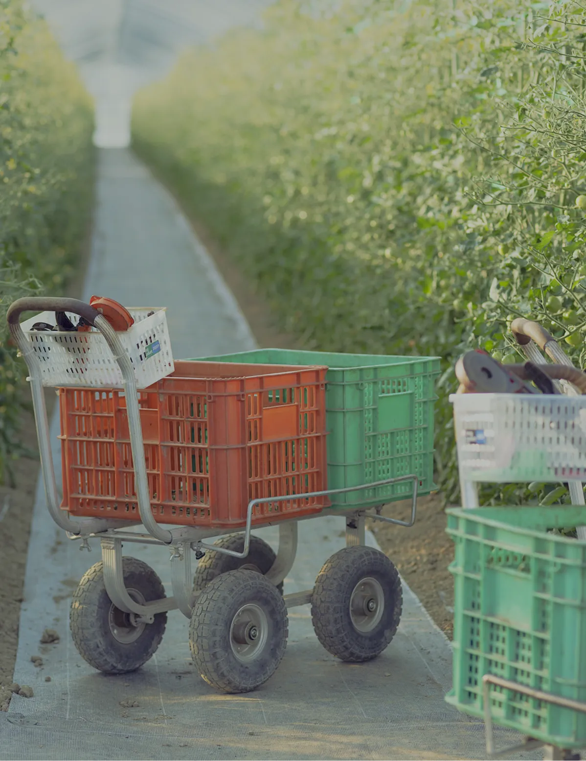生産者の現場で求められる器具・消耗品を届ける