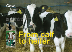 From calf to heifer　乳牛の育成管理のための実践ガイド
